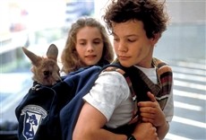 Escena de Joey, un canguro en la ciudad