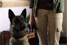 Escena de K-9 Adventures: Legend of the Lost Gold