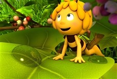 Escena de La abeja Maya: La película