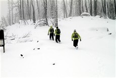 Escena de La carrera increíble