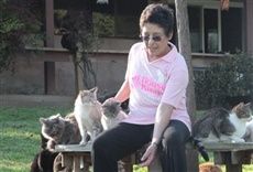 Escena de La dama de los 700 gatos