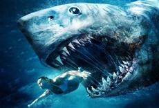 Película Shark Week