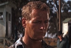 Escena de La leyenda del indomable