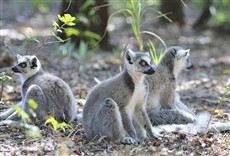 Escena de La lista roja