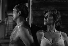 Escena de La pequeña tierra de Dios