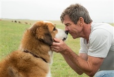 Escena de La razón de estar contigo