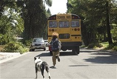 Escena de La tribu del arcoíris