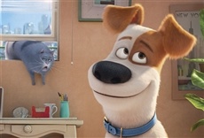 Escena de The Secret Life of Pets