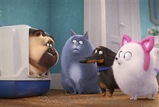 Escena de Mascotas 2