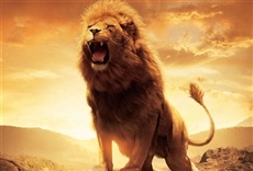 Película Las crónicas de Narnia: el león, la bruja y el ropero