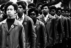 Serie Las panteras negras: vanguardia de la revolución
