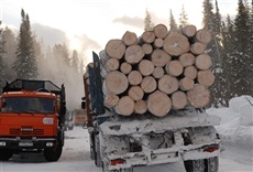 Escena de Leñadores en Siberia