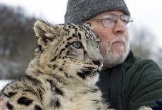 Escena de Leopardos de las nieves