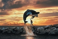 Escena de ¡Liberad a Willy!