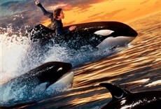 Escena de Liberad a Willy 3. El rescate