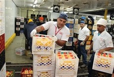 Escena de Línea de producción