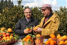 Escena de Linea verde