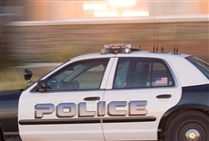 Escena de Lo mejor de policías en vivo