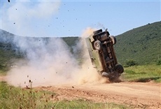 Escena de Lobo guerrero