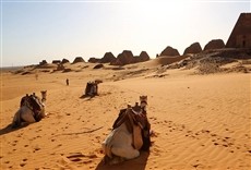 Escena de Los faraones negros: imperio dorado