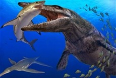 Escena de Los gigantes del océano