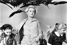 Escena de Los pájaros