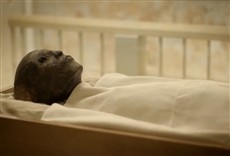 Escena de Los secretos del Rey Tut