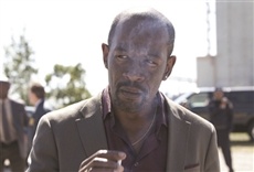 Escena de Low Winter Sun