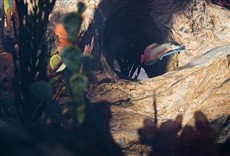 Escena de Lucha nocturna en el océano