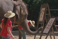 Escena de Lucky, el elefante de la suerte