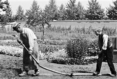 Escena de ¡Lumière! Comienza la aventura