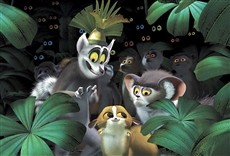 Serie Madagascar: la misteriosa isla del lemur
