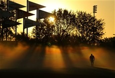 Escena de Major League Baseball Spring Training