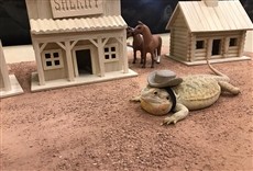 Escena de Mansión para reptiles