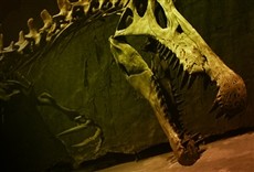 Escena de Más grande que un T.Rex