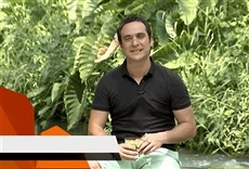 Escena de México de mil sabores