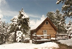 Escena de Mi casa en la montaña