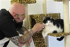 Escena de Mi gato endemoniado: rasguños