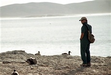 Escena de Migraciones 3.0