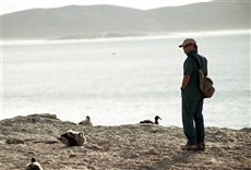 Escena de Migraciones 3.0