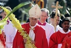 Escena de Misa de domingo de Ramos con Papa Francisco