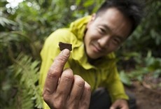 Escena de Mistérios da antiguidade com Albert Lin: Stoneheng