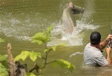 Escena de Monstruo: se busca