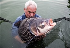 Escena de Monstruos de río