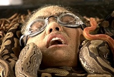 Escena de MTV Fear Factor