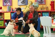 Escena de Mutt & Stuff, escuela de perros