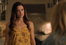 Escena de Navidad en Holly Lane