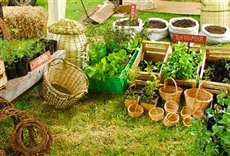 Escena de Oficios: huerta