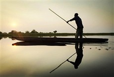 Escena de Okavango, el alma africana
