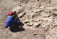 Escena de Paleontología - Huellas de El Tranquilo